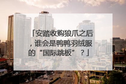 安踏收购狼爪之后，谁会是鸭鸭羽绒服的“国际跳板”？