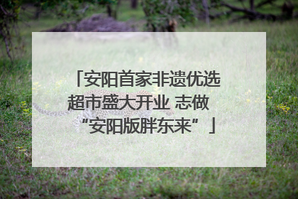 安阳首家非遗优选超市盛大开业 志做“安阳版胖东来”