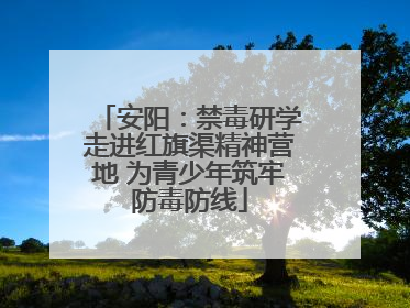 安阳：禁毒研学走进红旗渠精神营地 为青少年筑牢防毒防线