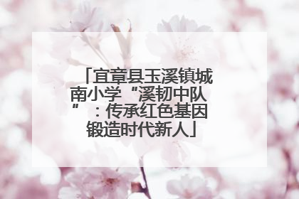 宜章县玉溪镇城南小学“溪韧中队”：传承红色基因 锻造时代新人
