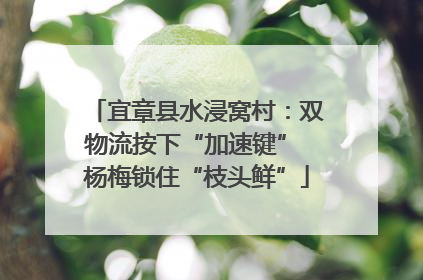 宜章县水浸窝村：双物流按下“加速键” 杨梅锁住“枝头鲜”