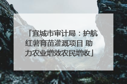 宜城市审计局：护航红薯育苗灌溉项目 助力农业增效农民增收