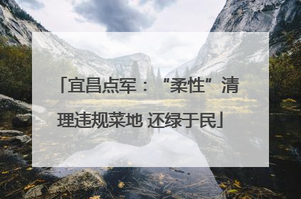 宜昌点军：“柔性”清理违规菜地 还绿于民
