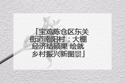 宝鸡陈仓区东关街道南阳村：大棚经济结硕果 绘就乡村振兴新图景