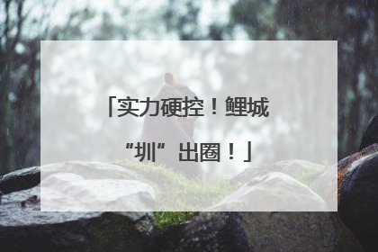 实力硬控！鲤城“圳”出圈！
