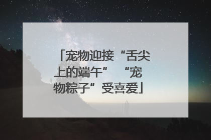 宠物迎接“舌尖上的端午” “宠物粽子”受喜爱