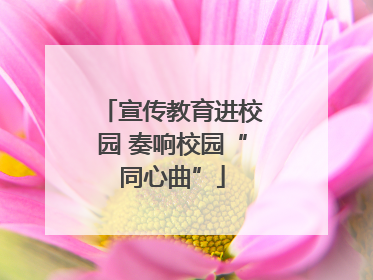 宣传教育进校园 奏响校园“同心曲”