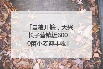 夏粮开镰，大兴长子营镇近6000亩小麦迎丰收
