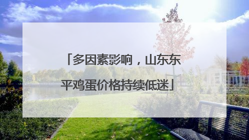 多因素影响，山东东平鸡蛋价格持续低迷