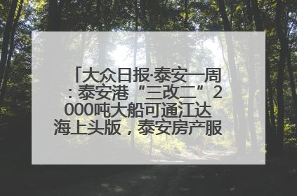 大众日报·泰安一周：泰安港“三改二”2000吨大船可通江达海上头版，泰安房产服务改革经验全省推广
