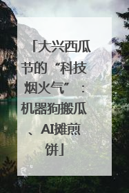 大兴西瓜节的“科技烟火气”：机器狗搬瓜、AI摊煎饼