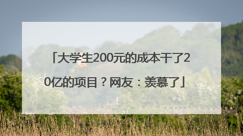 大学生200元的成本干了20亿的项目？网友：羡慕了