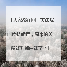 大家都在问：美法院叫停特朗普，原来的关税谈判都白谈了？
