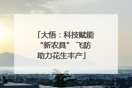大悟：科技赋能“新农具” 飞防助力花生丰产