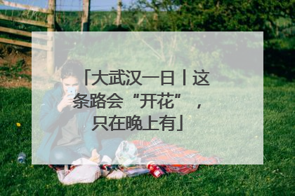 大武汉一日丨这条路会“开花”，只在晚上有
