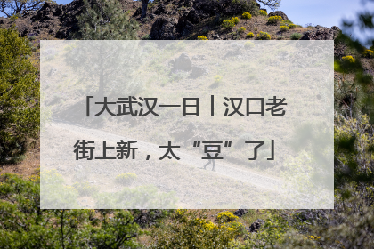 大武汉一日︱汉口老街上新，太“豆”了
