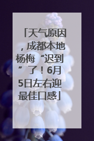 天气原因，成都本地杨梅“迟到”了！6月5日左右迎最佳口感