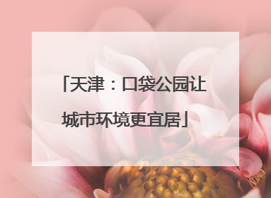 天津：口袋公园让城市环境更宜居