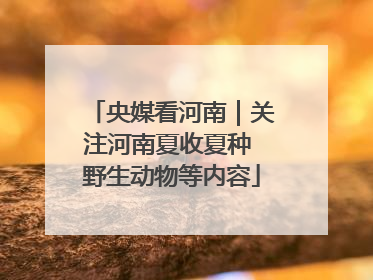 央媒看河南｜关注河南夏收夏种 野生动物等内容