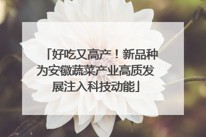 好吃又高产！新品种为安徽蔬菜产业高质发展注入科技动能