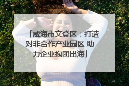 威海市文登区：打造对非合作产业园区 助力企业抱团出海