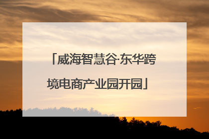 威海智慧谷·东华跨境电商产业园开园