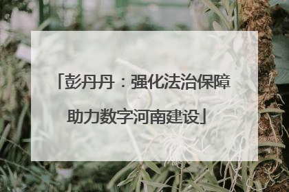 彭丹丹：强化法治保障 助力数字河南建设