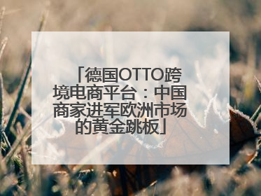 德国OTTO跨境电商平台：中国商家进军欧洲市场的黄金跳板
