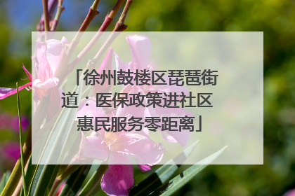 徐州鼓楼区琵琶街道：医保政策进社区 惠民服务零距离