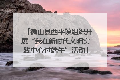 微山县西平镇组织开展“我在新时代文明实践中心过端午”活动