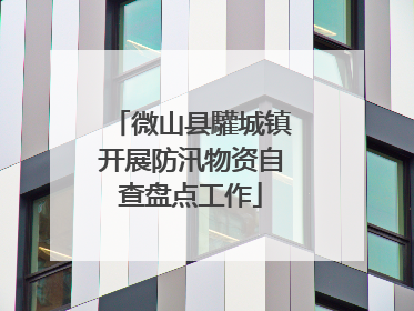 微山县驩城镇开展防汛物资自查盘点工作