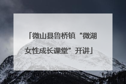 微山县鲁桥镇“微湖女性成长课堂”开讲