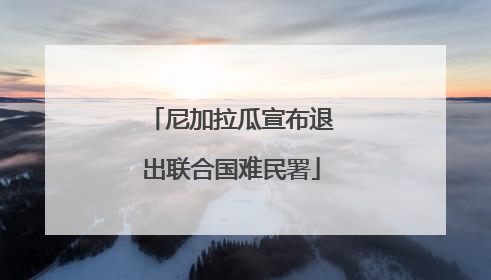 尼加拉瓜宣布退出联合国难民署