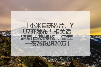 小米自研芯片、YU7齐发布！相关话题霸占热搜榜，雷军一夜涨粉超20万