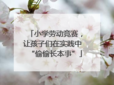 小学劳动竞赛，让孩子们在实践中“偷偷长本事”