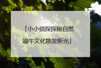 小小侦探探秘自然 端午文化焕发新光