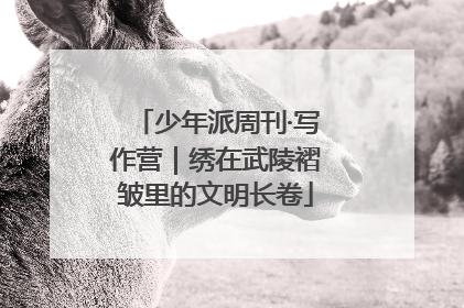 少年派周刊·写作营｜绣在武陵褶皱里的文明长卷