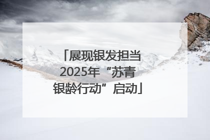 展现银发担当 2025年“苏青银龄行动”启动
