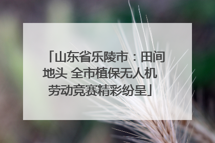 山东省乐陵市：田间地头 全市植保无人机劳动竞赛精彩纷呈