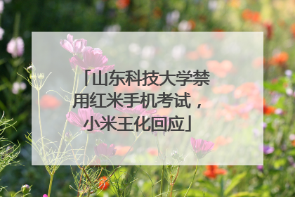 山东科技大学禁用红米手机考试，小米王化回应