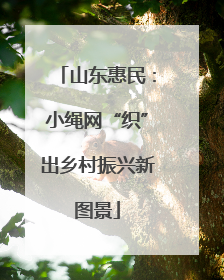 山东惠民：小绳网“织”出乡村振兴新图景