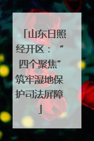 山东日照经开区：“四个聚焦”筑牢湿地保护司法屏障