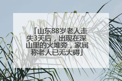 山东88岁老人走失3天后，出现在深山里的火堆旁，家属称老人已无大碍