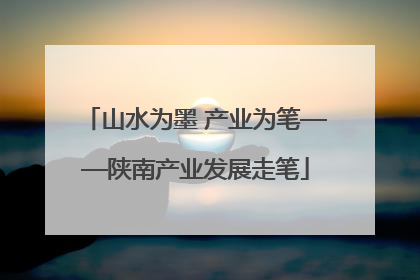 山水为墨 产业为笔——陕南产业发展走笔