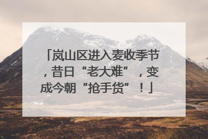 岚山区进入麦收季节，昔日“老大难”，变成今朝“抢手货”！