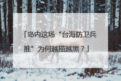 岛内这场“台海防卫兵推”为何越描越黑？