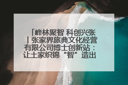 峰林聚智 科创兴张丨张家界旅典文化经营有限公司博士创新站：让土家织锦“智”造出非遗新传奇