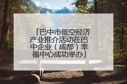 巴中市低空经济产业推介活动在巴中企业（成都）幸福中心成功举办