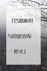 巴基斯坦与印度宣布停火