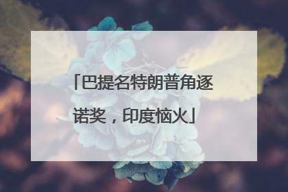 巴提名特朗普角逐诺奖，印度恼火